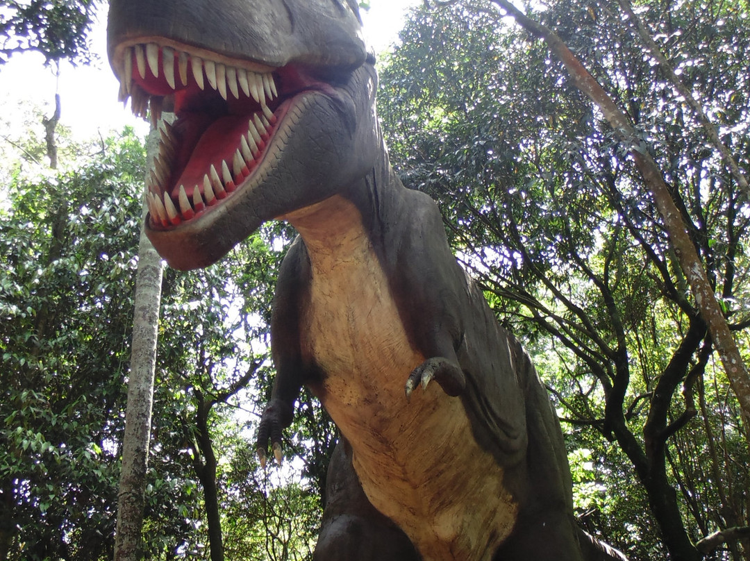 Zoologico de Sao Paulo景点图片