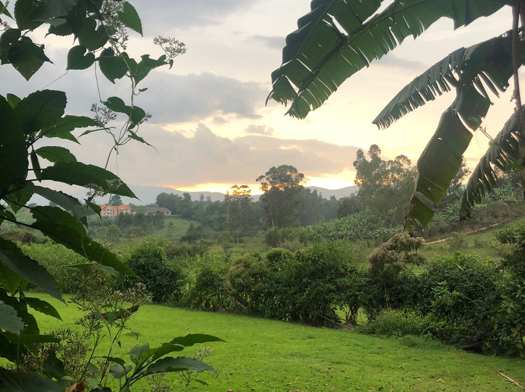 Ruwenzori View Guest House主图