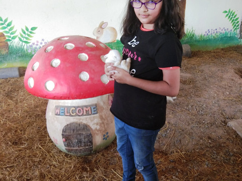 Swiss Sheep Farm Pattaya-芭堤雅必去景点