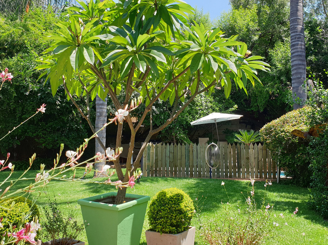 Khayamanzi Guesthouse主图