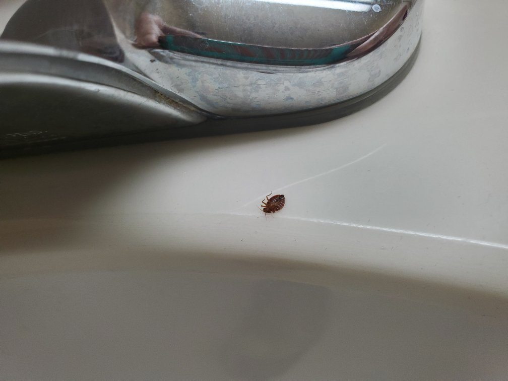 Country Inn & Suites by Radisson, Forest Lake, MN主图