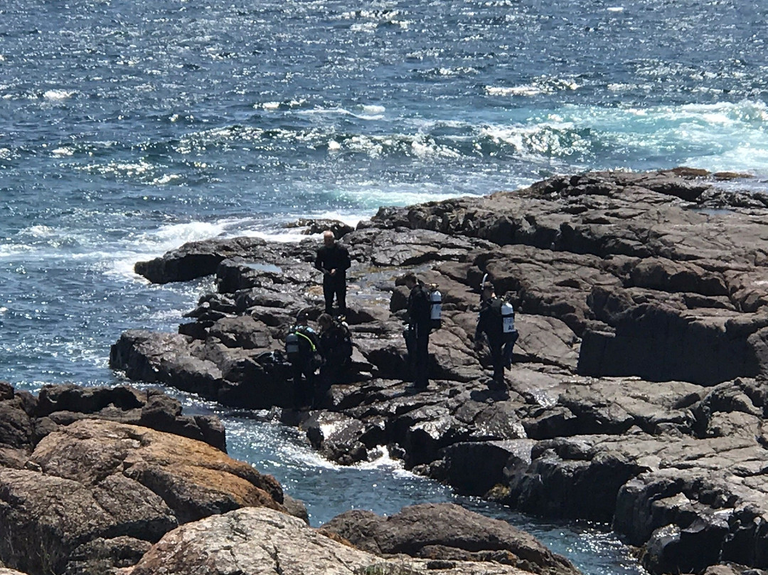 Bass Point Reserve-谢尔哈伯必去景点