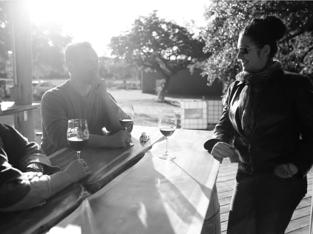 Vinovium-Johnson City必去景点