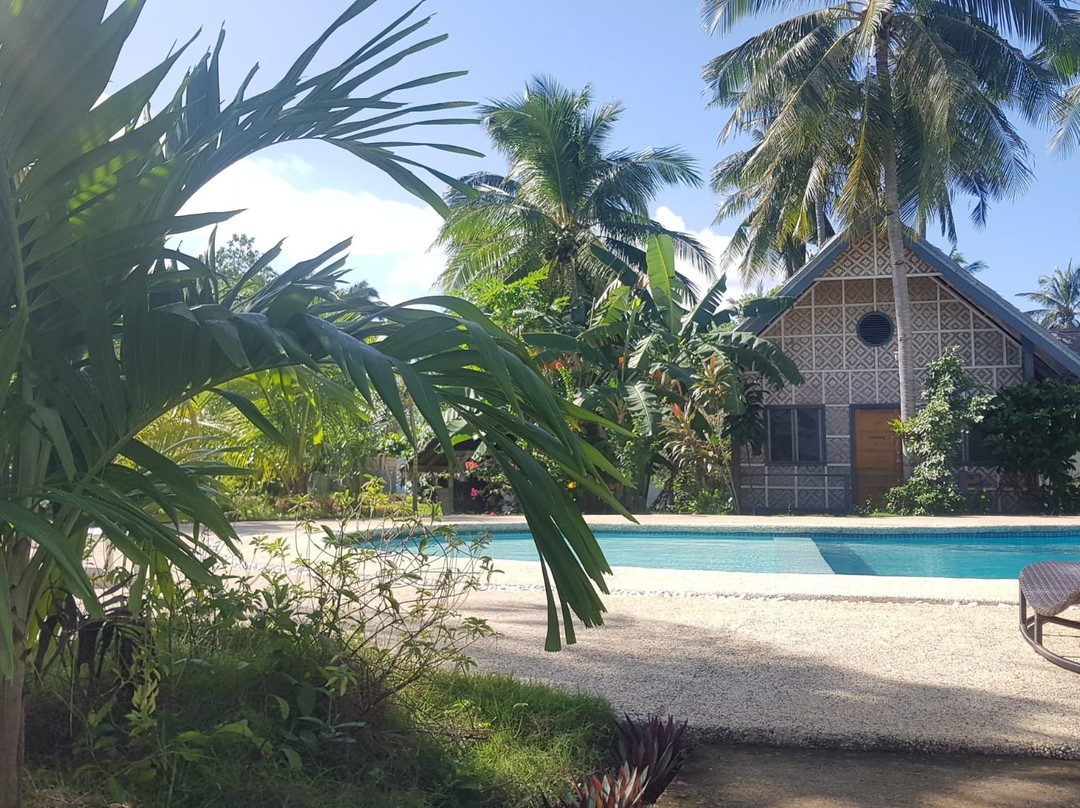 桑丁岸岛潜水度假村主图