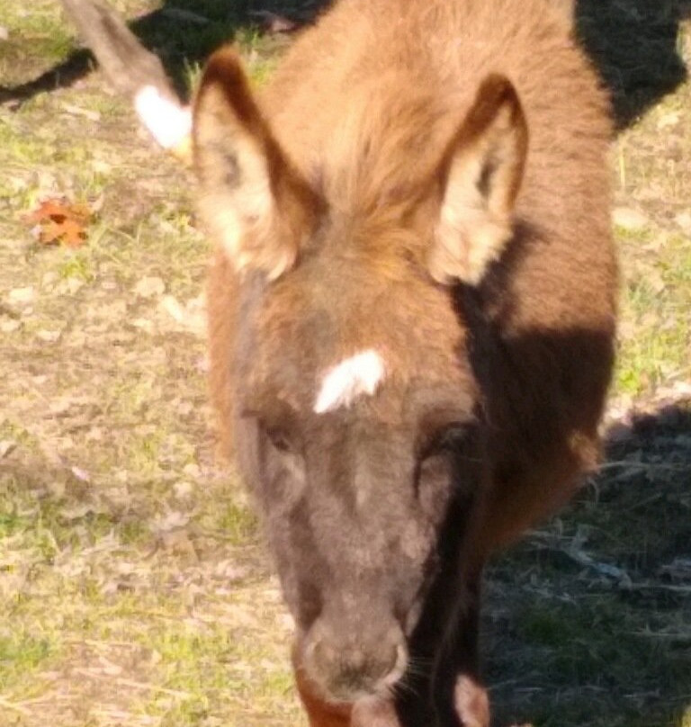Ray of Light Farm-East Haddam必去景点
