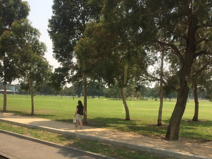 Caulfield Park景点图片