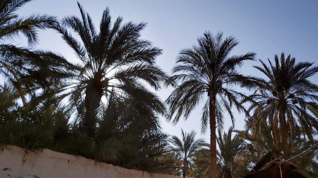 Maison d'Hote Akham主图