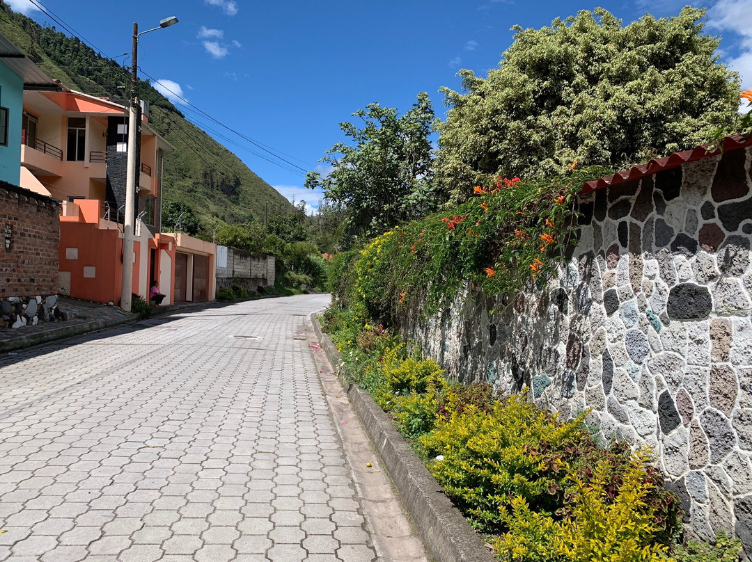 绿色家庭旅馆主图