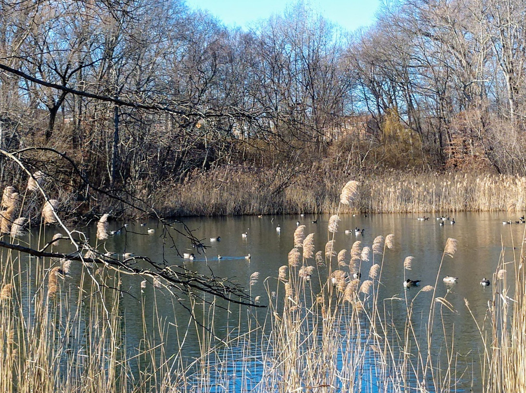 Alley Pond Park-Oakland Gardens必去景点