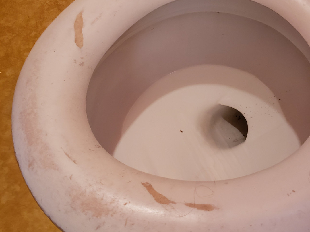 Patra's Grand Beach Motel主图