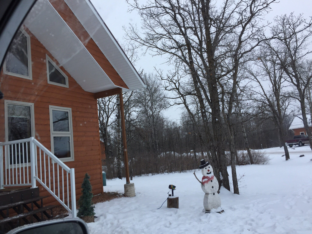 Forest Hills Cabins & Rv park