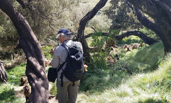 Simien Mountains Trekking-贡德尔必去景点