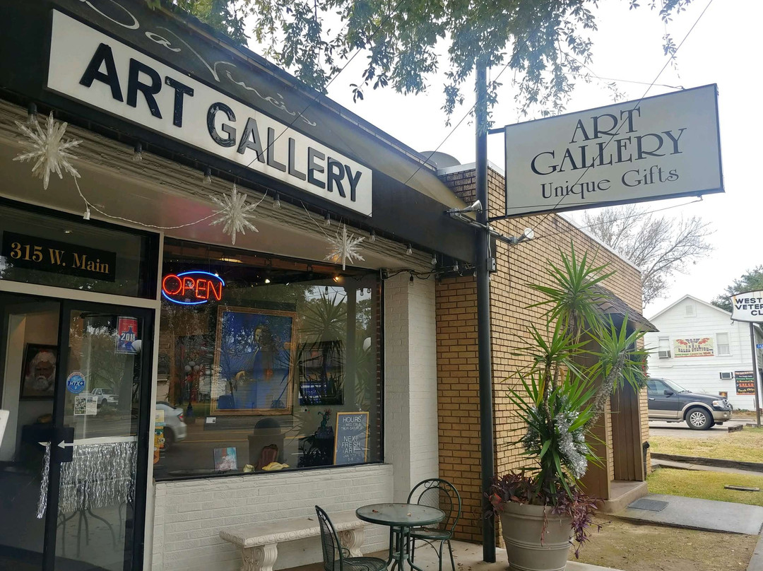 DaVinci Artists Gallery-Tomball必去景点