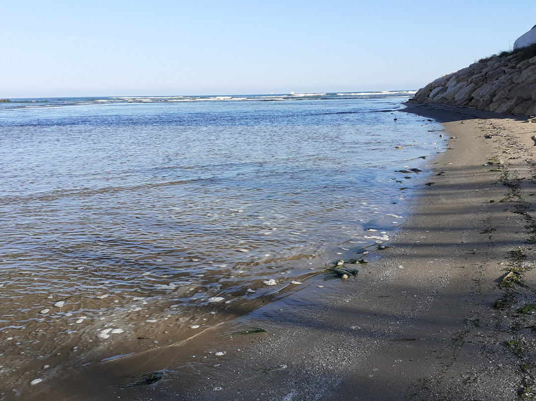 Grau de Gandia旅游攻略图片