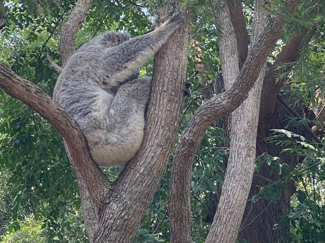 Your Sydney Guide-悉尼必去景点