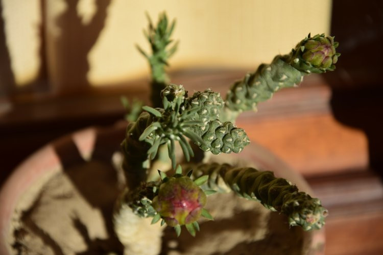 Hosteria Refugio del Sol主图