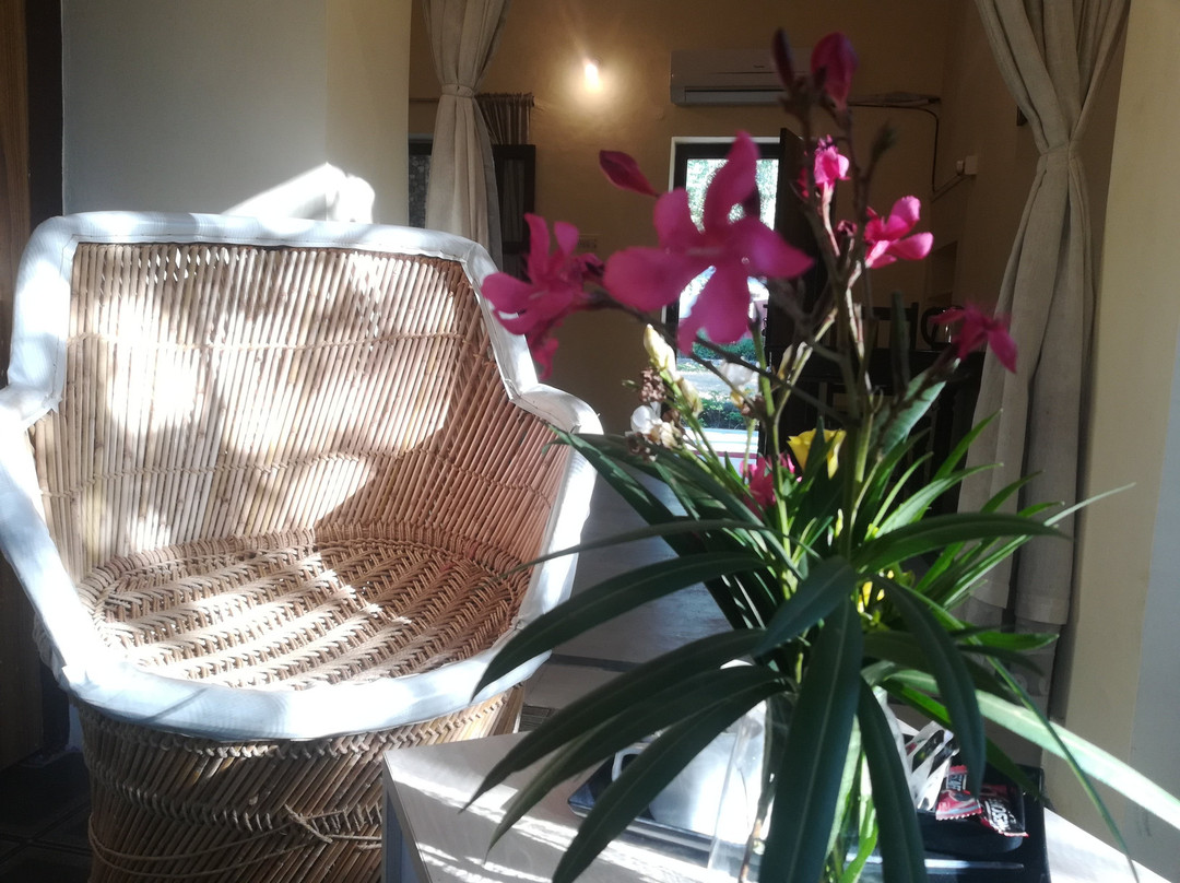 湿婆神湖大酒店主图