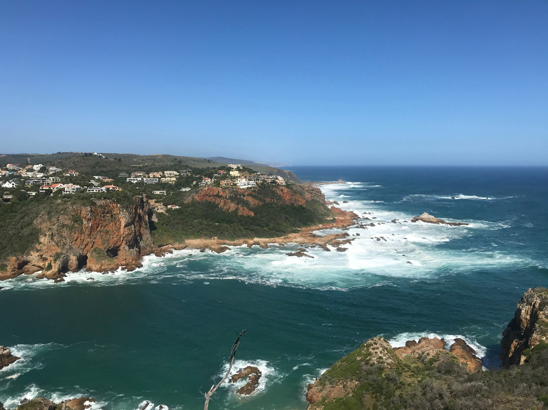 Peter Giddy Guided Tours-伊丽莎白港必去景点