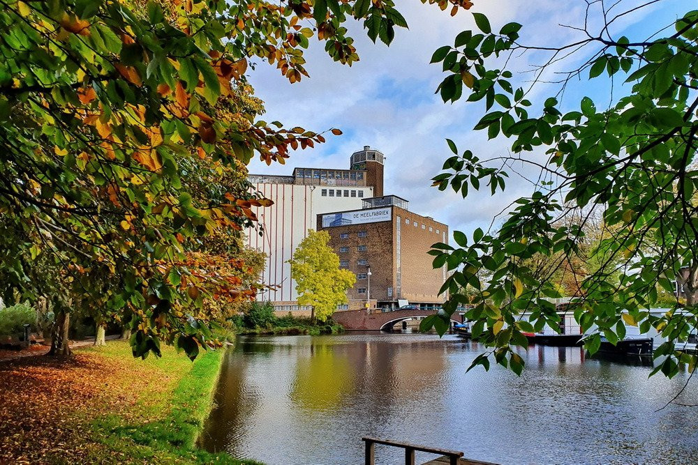 Photography Tours Leiden景点图片