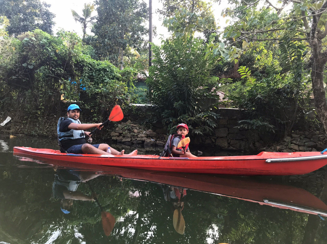 Plunge Adventures景点图片
