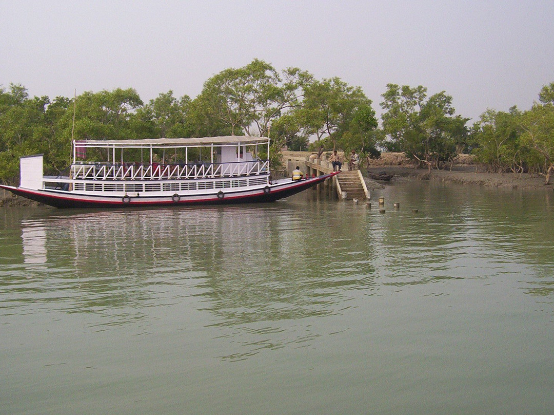 Sundarban Wild Safari景点图片