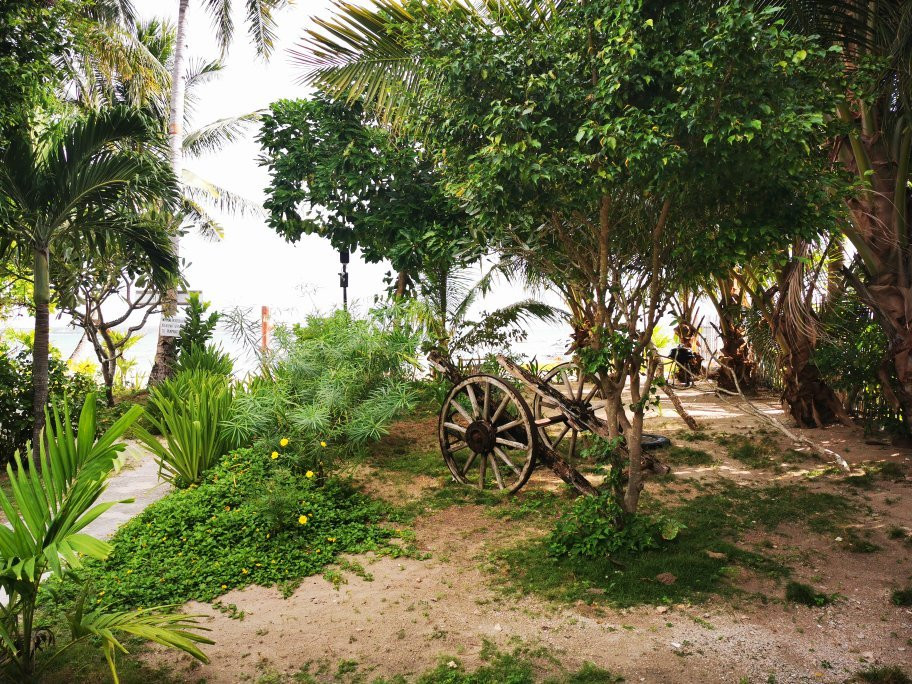 圣伯纳德海滩度假村主图