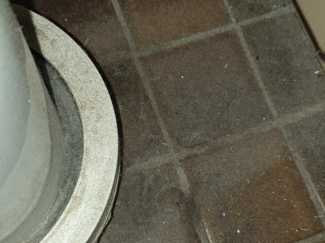 Arabella Motor Inn主图