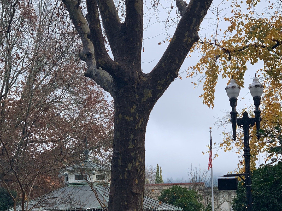 Healdsburg Plaza景点图片