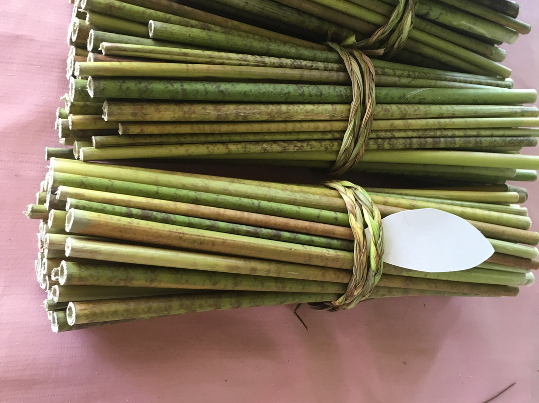 Finca Excelencia-Soroa必去景点