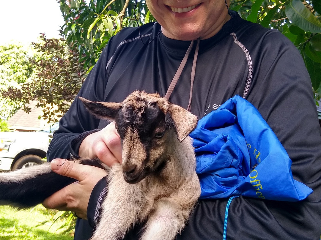 Kauai Kunana Dairy Farm Tour-基拉韦厄必去景点