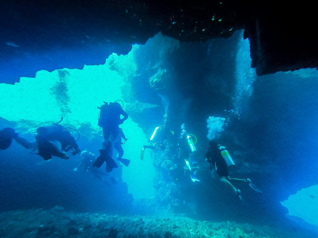 Maui Diving - Scuba & Snorkel Center景点图片