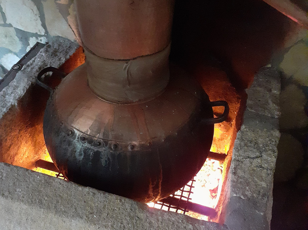 Aromas dos Salgueiros主图