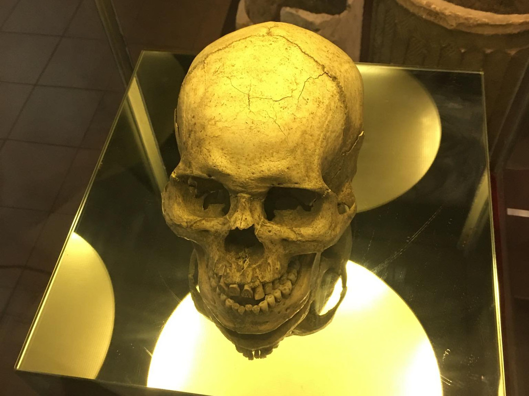 University of San Carlos Museum-宿雾市必去景点