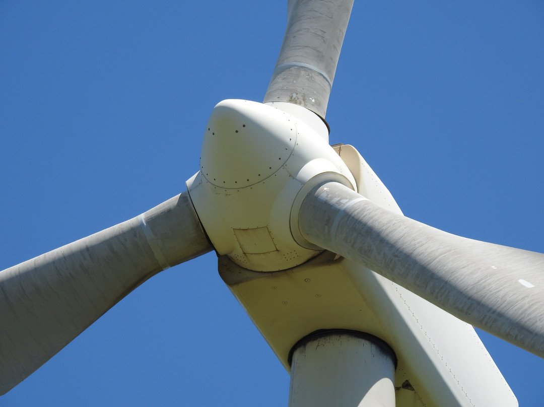 Toora Wind Farm-Toora必去景点