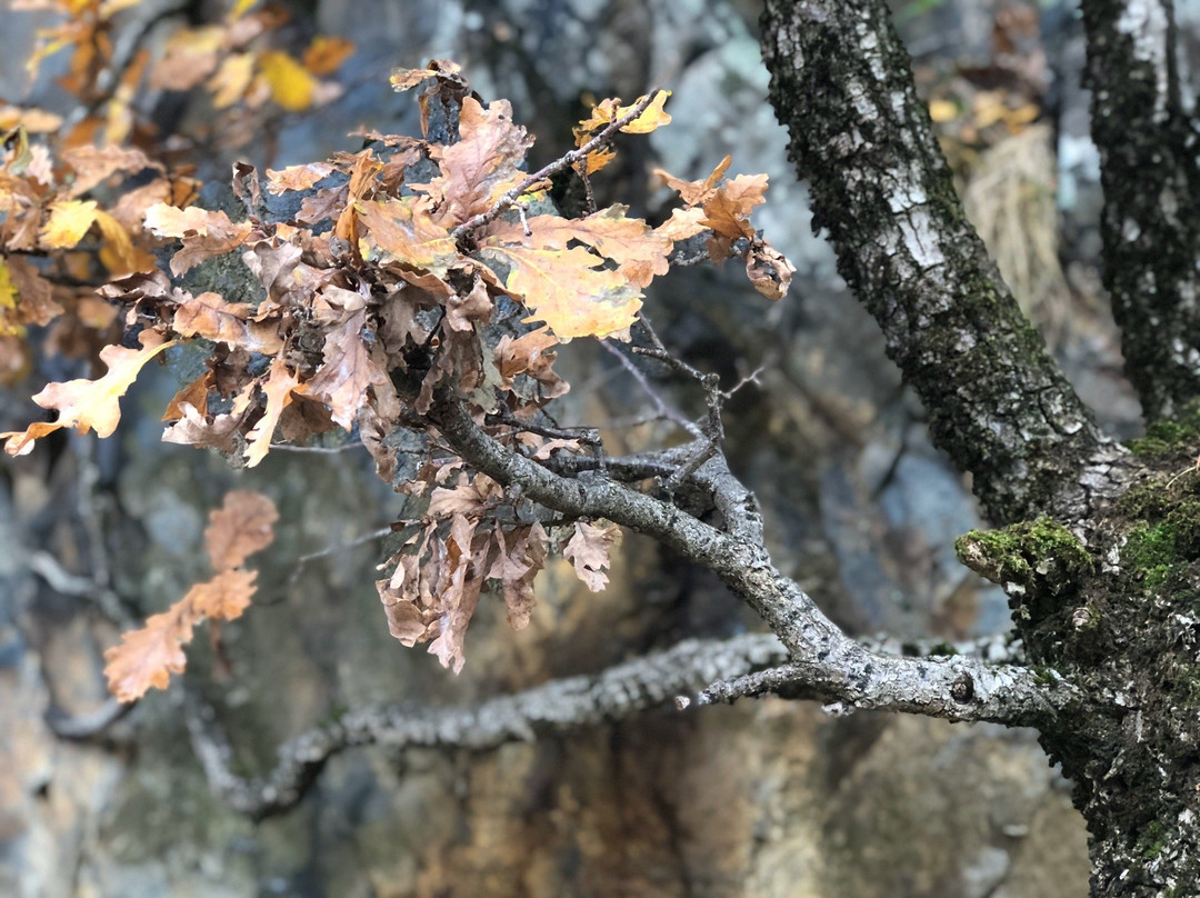 Rec del Sola-安道尔城必去景点