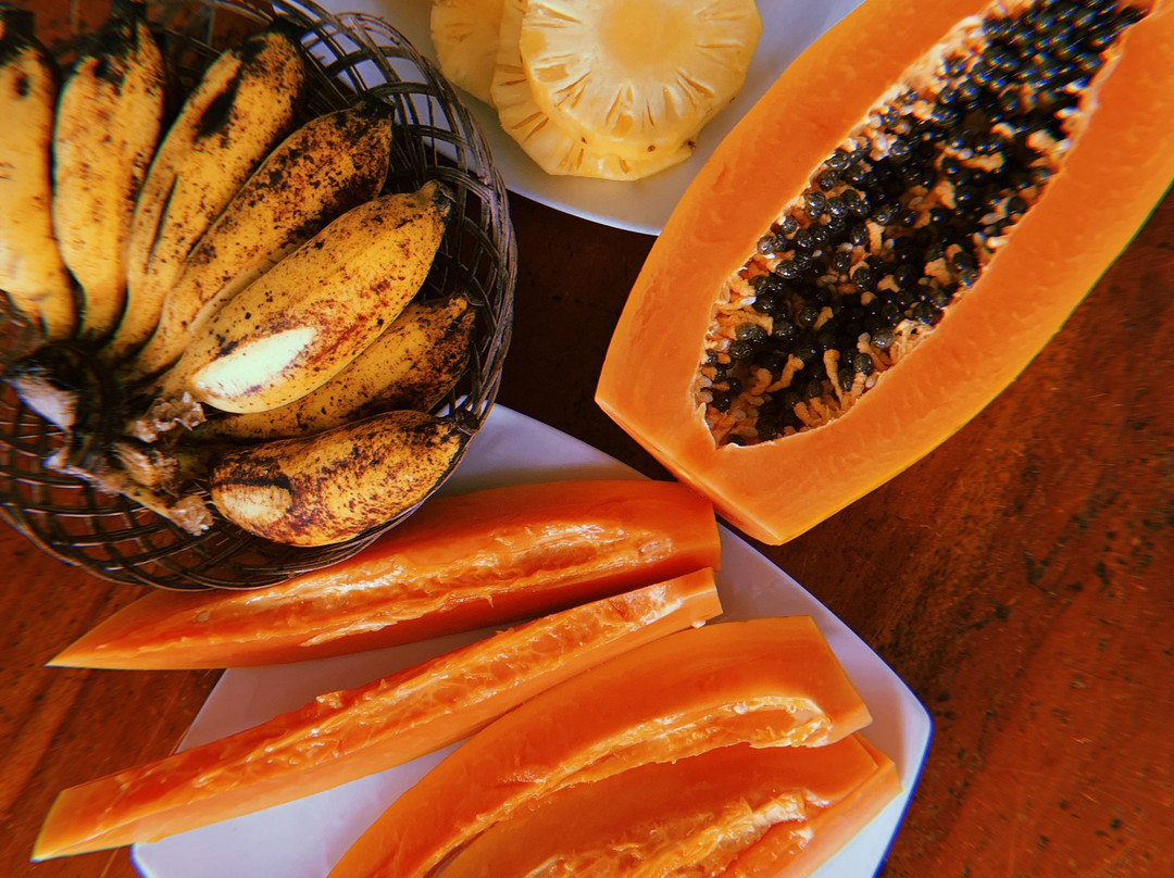 The Old House Villa主图