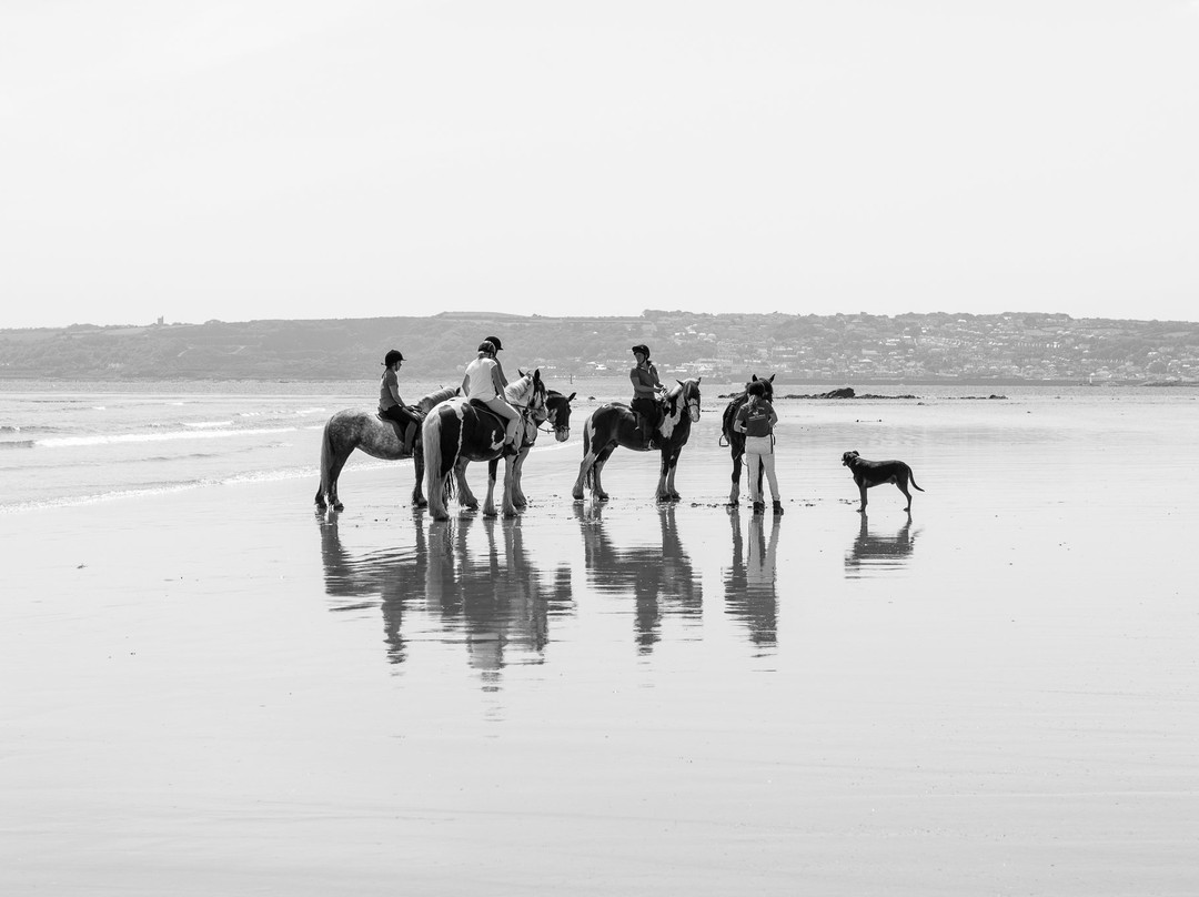 Tremenheere Riding Stables景点图片
