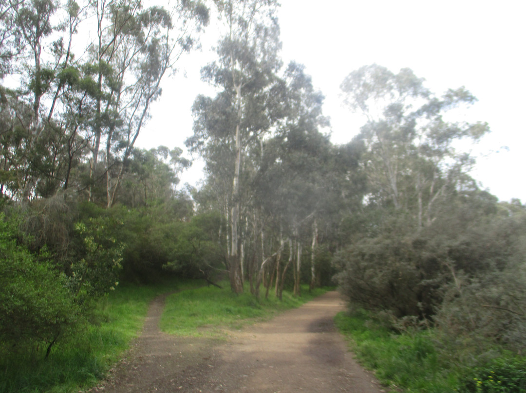 Yarra Bend Park-费尔菲尔德必去景点