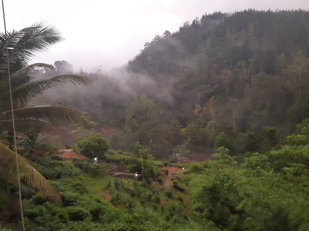 Jansens Bungalow主图