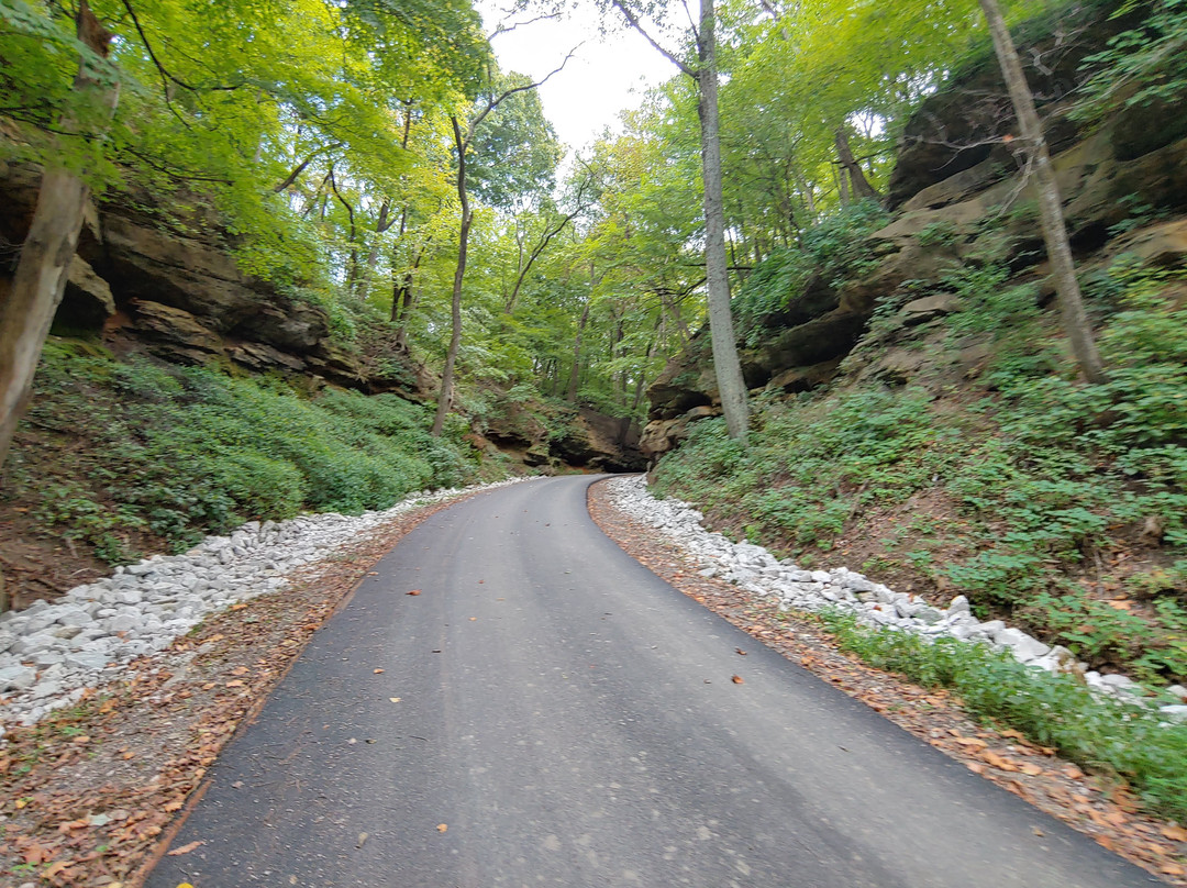 Merom Bluff Park景点图片