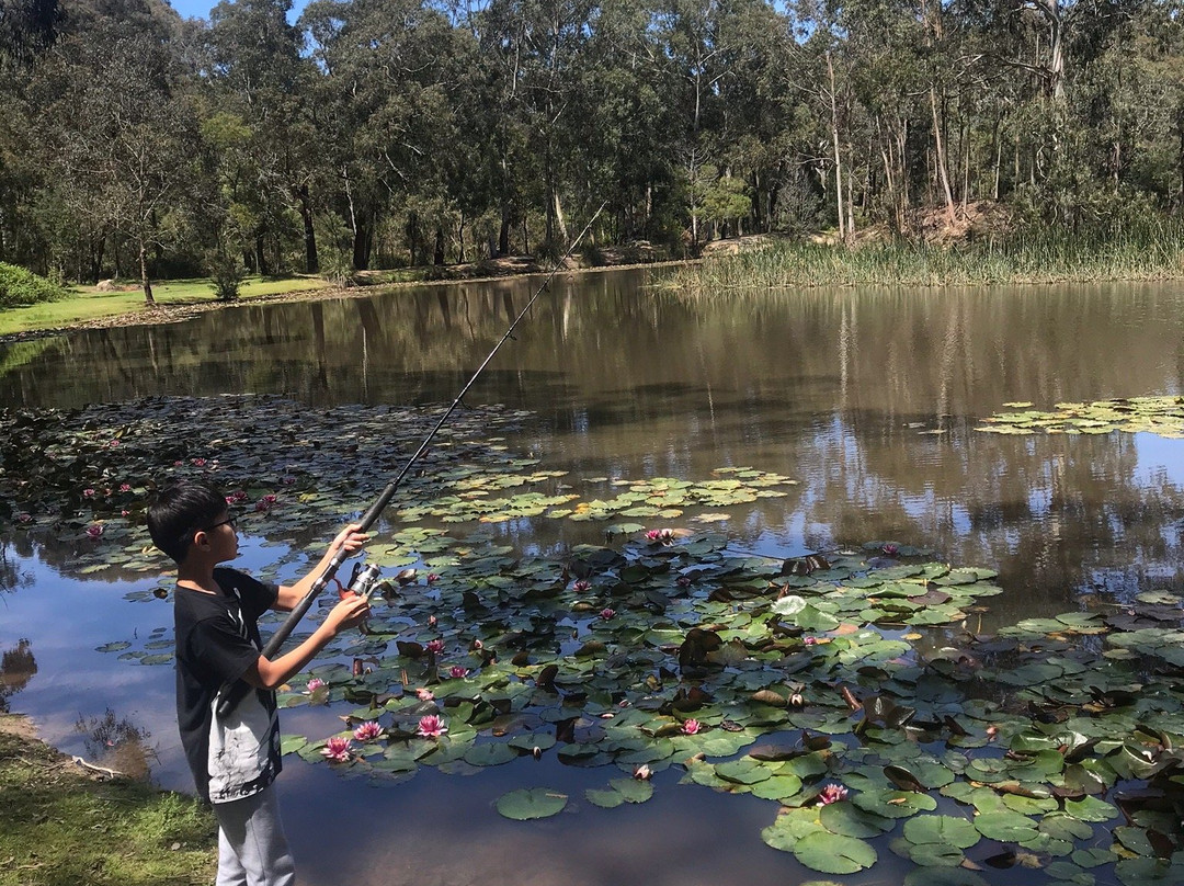 Australian Rainbow Trout Farm-Macclesfield必去景点