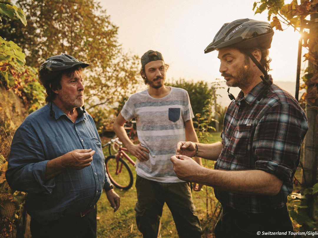 Mendrisiotto Terroir - Bike'n'Wine景点图片