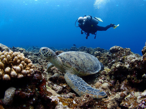 Okinawa 39ers-北谷町必去景点