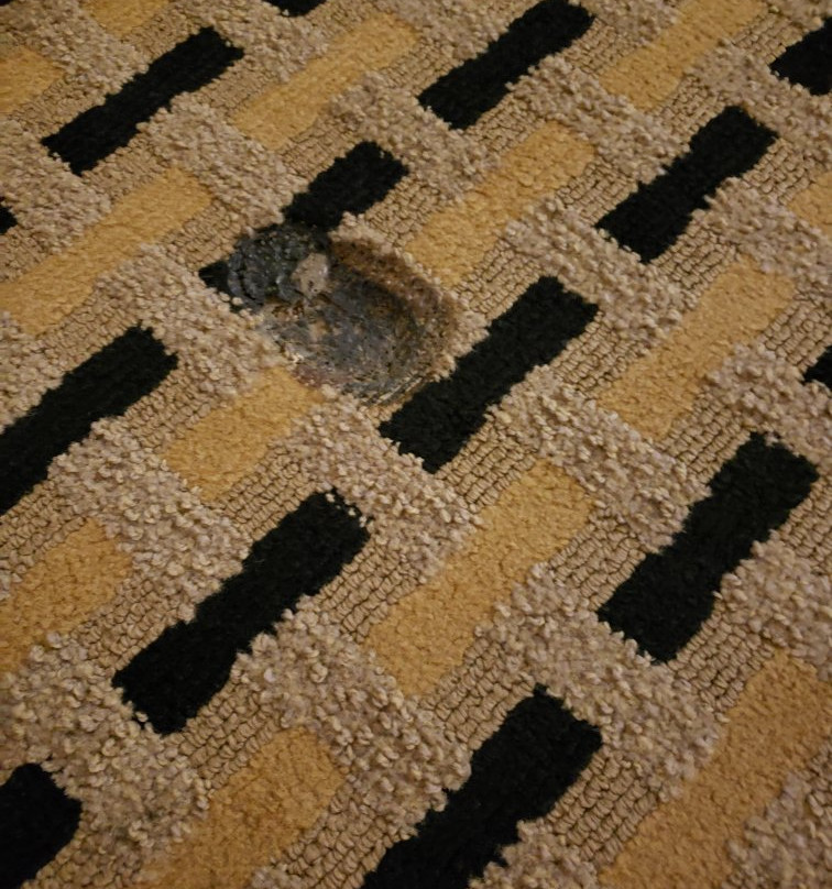 Jones Creek酒店住宿-Clarion Pointe Lake Jackson - Clute