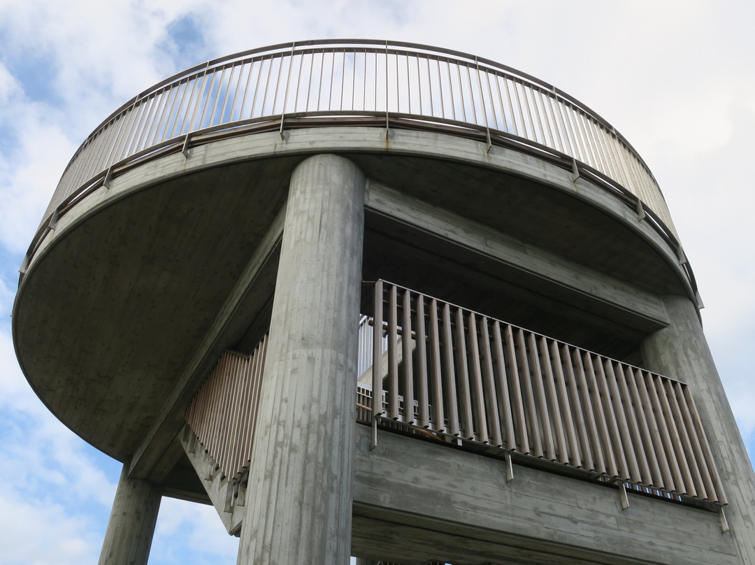 Narutoyama Observatory-鸣门市必去景点