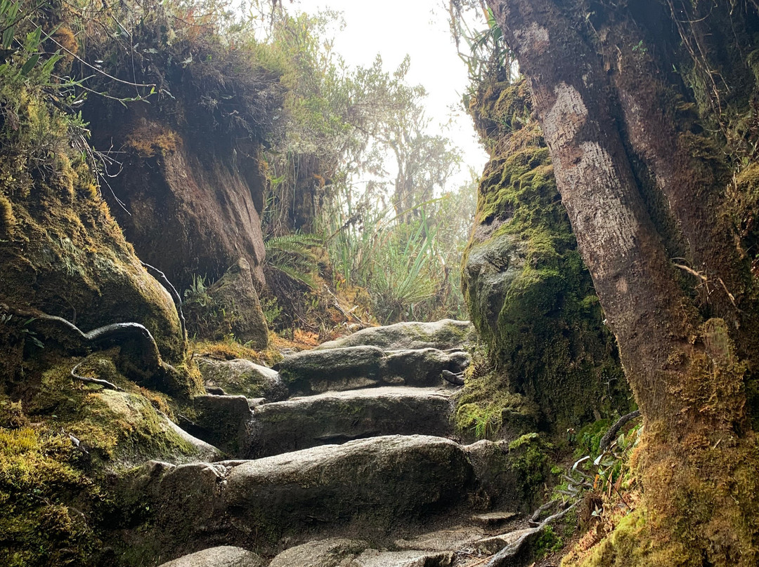 Wayra Peru Travel Eirl.-库斯科必去景点