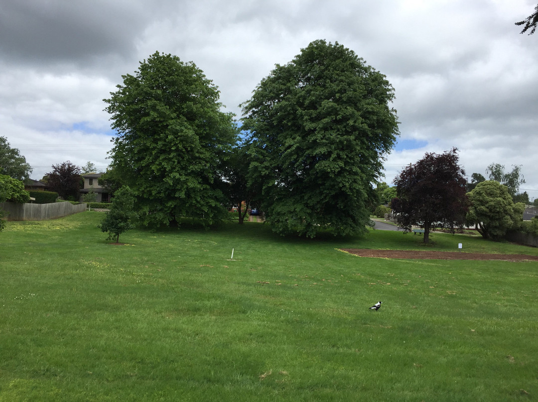 Boronia Street Park-沃拉格尔必去景点