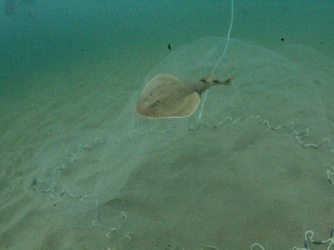 Salinas Bay Research Center-El Jobo必去景点