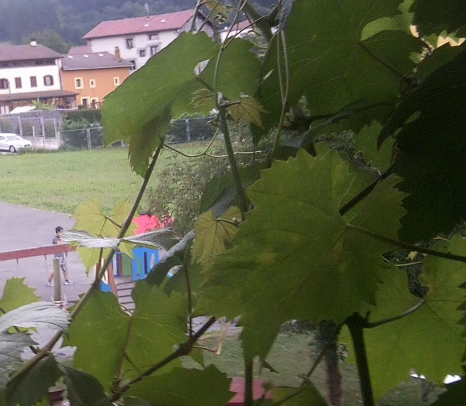 Casa Rural Aranburu主图