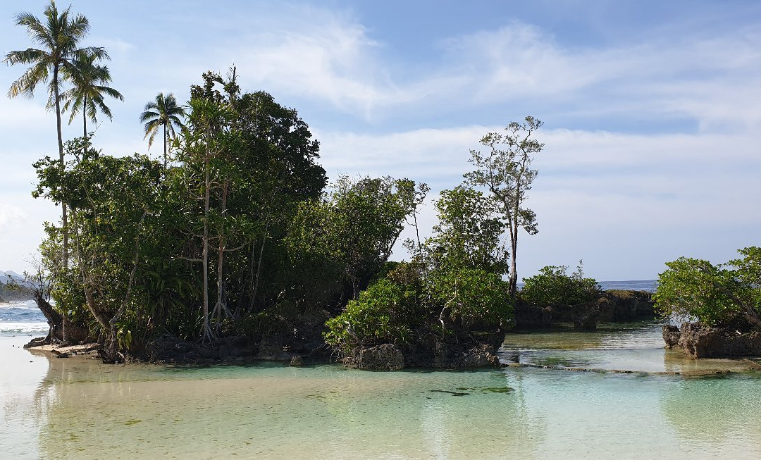 Tanjung Saruri